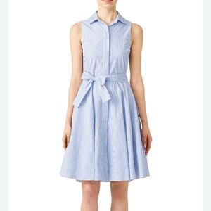Badgley Mischka Blue Stripe Day Dress